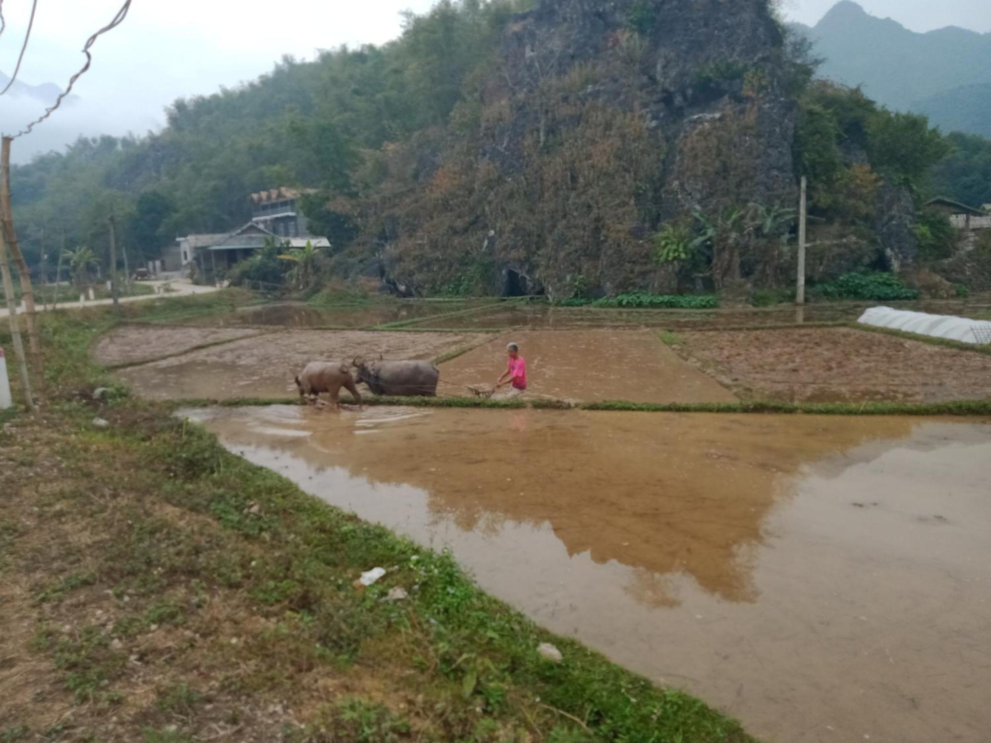 Truong Huy Homestay Майтяу Экстерьер фото